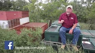 Can I  Jump Start  Quail Populations?