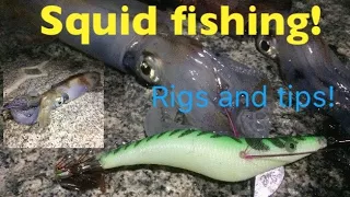 SQUID FISHING! Rigs, Tips and Tactics!