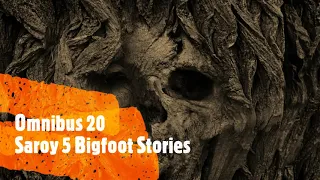 TRUE 5 Sasquatch Stories ONB20 Disturbing & Terrifying Horror Stories | (Soft White Underbelly)