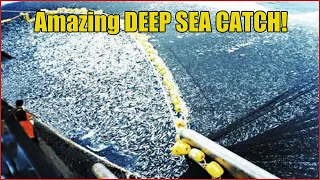 Amazing Ocean Deep Sea Fishing, Automatic Catch & Processing On Ship, Big Sea Catch!