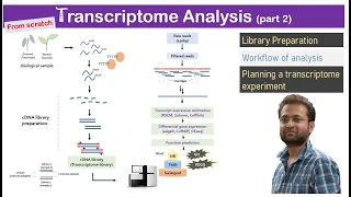 Transcriptome analysis. Learn library preparation and data analysis from scratch.