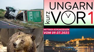 Ungarn Kurz vor 1 - Nachrichten am Mittag