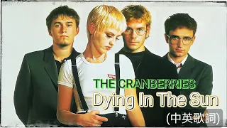 Dying In The Sun -- The Cranberries(Lyrics)【中英歌詞】歌曲描述可按下文觀看⬇️