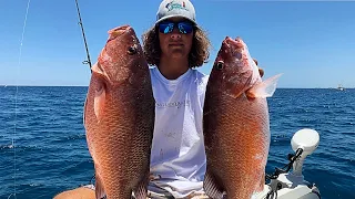 GIANT MANGROVE SNAPPER (Catch Clean Cook) |Catching Giant Mangrove, and mutton snappers|