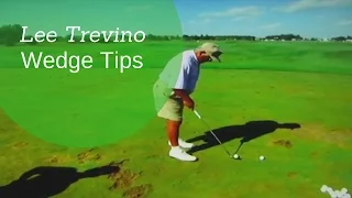 Lee Trevino GREATEST Wedge Play Tips