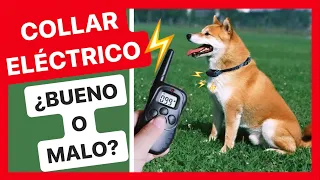 ¿EL COLLAR ELÉCTRICO PARA PERROS ES BUENO? ⚡️ ► [MI OPINIÓN] ✅