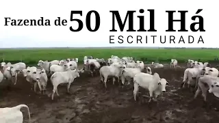 Fazenda de 50 Mil hectares no Pará, ESCRITURADA.