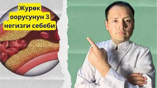 Журок оорусунун 3 негизги себеби.