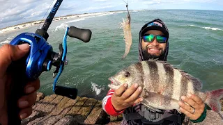 Jetty Sheepshead Fishing, with Live Shrimp!(Catch & Cook) Fish BREAKS rod! Corpus Christi TX