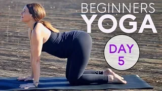 Beginners Yoga Workout (15 min Core Strength) Day 5 | Fightmaster Yoga Videos