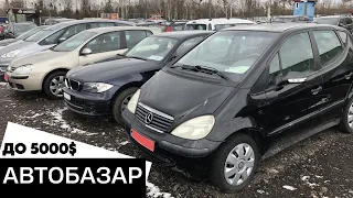 АВТО ДО 5000$ / Луцький авторинок / 31 січня 2023р.