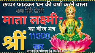 Shreem Laxmi Beej Mantra Jaap 11000 Times Fast Chant | श्रीं लक्ष्मी बीज मंत्र जाप 11000 बार | Shrim