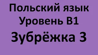 Зубрёжка Польский язык Уровень В1 Урок 3 Польский разговорный Польские диалоги и тексты с переводом