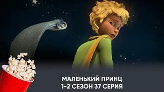 Маленький принц. 1-2 сезон. 37 серия (мультфильм, фантастика, приключения) / Le Petit Prince