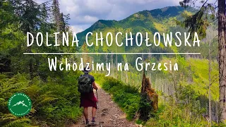 Dolina Chochołowska - szlak na Grzesia | Najpiękniejsza dolina w Tatrach