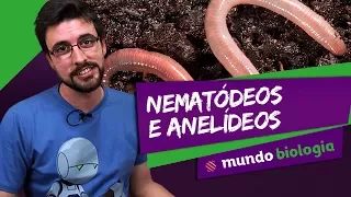 🐍 Zoologia (2/6): Nematódeos e Anelídeos - Biologia - ENEM