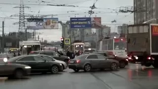 Олени на площади метро Пионерская и несчастный трамвай