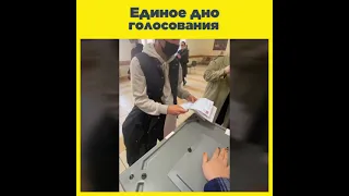 Единое дно голосования