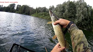 Kiedy najlepiej bierze szczupak/ łowna przynęta na szczupaka