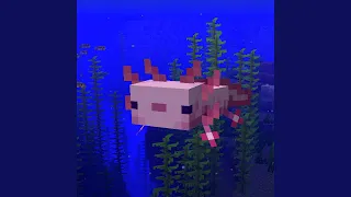 Axolotl in the Ocean