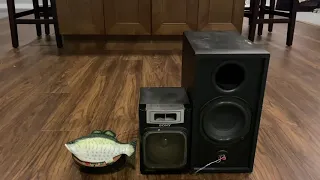 Mini recordable big mouth billy bass (speaker mod)