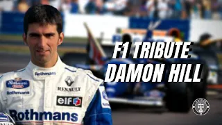 F1 Tribute Damon Hill
