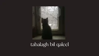 Usama al safi - tabalagh bil qaleel/تبلغ بالقليل {slowed+rain sound+eng.lyrics}