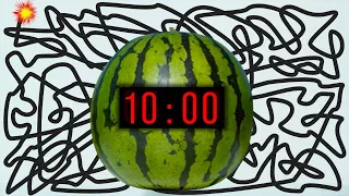 10 Minute Timer Bomb [WATERMELON] 🍉