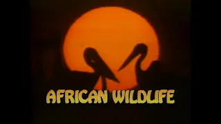 National Geographic Video: African Wildlife (1986)