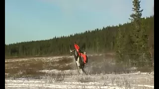 Summit 800 Wheelie sick insane