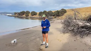 Lost Whaling Station in Hobart