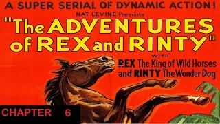 The Adventures of Rex and Rinty: Chapter 6 - Dead Man's Tale
