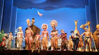 20170714-브로드웨이 뮤지컬 라이온킹 커튼콜 (New York broadway musical - "Lion King")