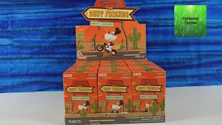 Snoopy & Woodstock The Best Friends Pop Mart Blind Box Figure Case