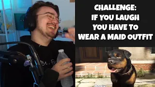 YOU LAUGH YOU GET PUNISHED (YLYL CHALLENGE)
