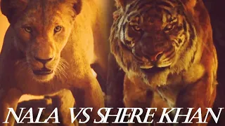 Nala vs Shere Khan (FANMADE)