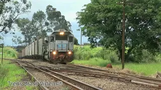 🇧🇷TREM da VLI CARREGADO, SUBINDO RAMPA  para CHEGAR em Paulínia - SP. | EMD - GT46ACe e SD70ACe-bb.