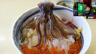 Oohami react to Dancing Sahimi Squid and King Crab Sashimi