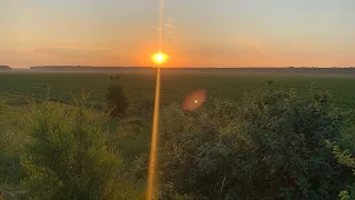 ВОСХОД СОЛНЦА 💥ТУМАН В ДОЛИНЕ ПРИ ВОСХОДЕ СОЛНЦА💥ЗАВОРАЖИВАЮЩИЕ КАДРЫ 💥 ПОЛЕ ДОРОГА КРУТОЙ ПЕЙЗАЖ