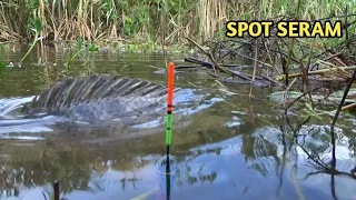 buka spot baru langsung di hajar nila babon ber kali-kali