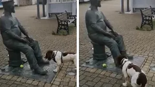 Dog Tries To Play Fetch With Statue