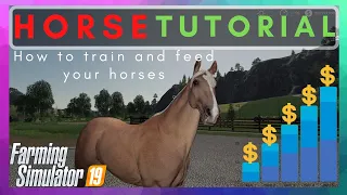 Horse tutorial FS 19 How to train and feed your horses