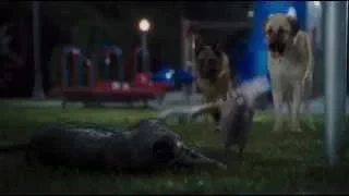Кусок из фильма "Кошки против собак 2"