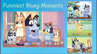 All Bluey, No Context | Funniest Bluey Moments