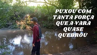 puxou com tanta força que a vara quase quebrou