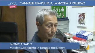 Cannabis terapeutica, la rivolta di Palermo