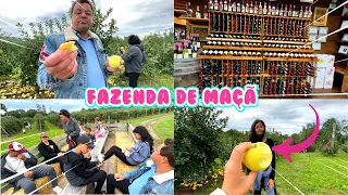 FAZENDA DE MAÇÃ NOS ESTADOS UNIDOS - BOSTON!