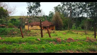 Nas Paredes Tinha algo Amarelo Abandonado na Casa, Vale mais que Ouro Pra quem Gosta de Relíquias