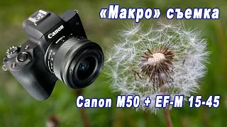 Макросъемка на Canon M50 + EF-M 15-45