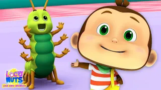 Bug Bug Lagu pantun populer untuk anak-anak oleh Loco Nuts